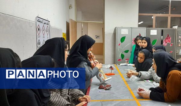 کارگاه تشریح قلب و آناتومی بدن انسان