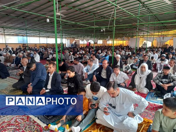 اقامه نماز عید فطر با حضور گسترده مردم اهل سنت تربت جام