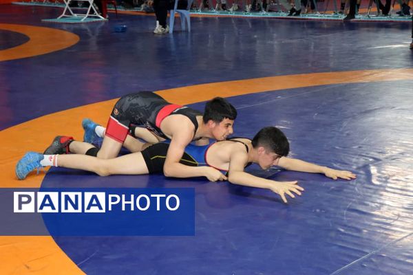 قهرمانی نونهالان و نوجوانان رباط‌کریم در رقابت‌های کشتی