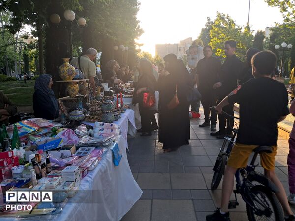 پویش «تکیه گاه» در پارک باغ ایرانی کرج 