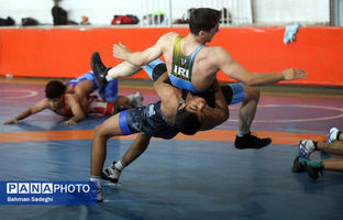 ۷۰ درصد از قهرمانان تالار افتخارات ورزش ایران از المپیادهای دانش آموزی کشف شدند/ تعامل زیربنایی فدراسیون با وزارت آموزش و پرورش 