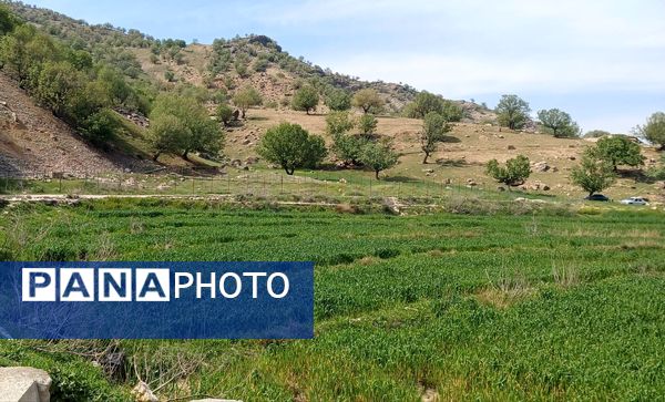 طبیعت روستای بارز، طبیعتی زیبا در دل استان چهارمحال‌وبختیاری 