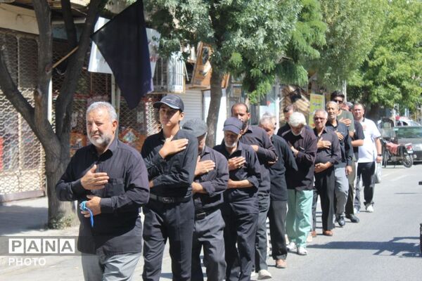 جاماندگان اربعین در ملکان؛ هم‌قدمی با کاروان عشق حسینی