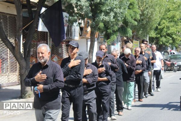 جاماندگان اربعین در ملکان؛ هم‌قدمی با کاروان عشق حسینی