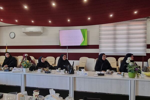 برگزاری کارگاه‌های آموزشی مهارت ارتباط مؤثر و سبک زندگی اسلامی-ایرانی ویژه رابطین امور بانوان منطقه کهریزک 