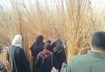رسیدن دختران پیشوا به خاک عاشقی؛ آغاز روایت‌ها در جنوب