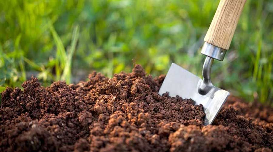 خاک؛ سرمایه‌ای که می‌گریزد، آینده‌ای که فرو می‌ریزد