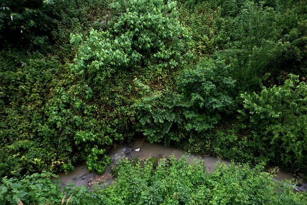 بازدید نماینده دولت و وزیر آموزش و پرورش از پروژه‌های عمرانی شهرستان سوادکوه