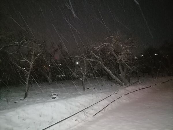 گذری بر بارش برف زمستانی در شهر بار