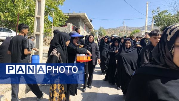 پیاده‌روی حرم تا حرم جاماندگان اربعین 