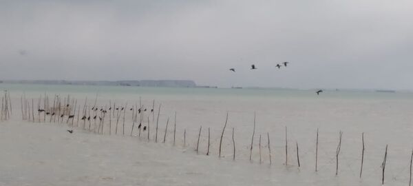 باران، چهره بندرعباس را تازه کرد