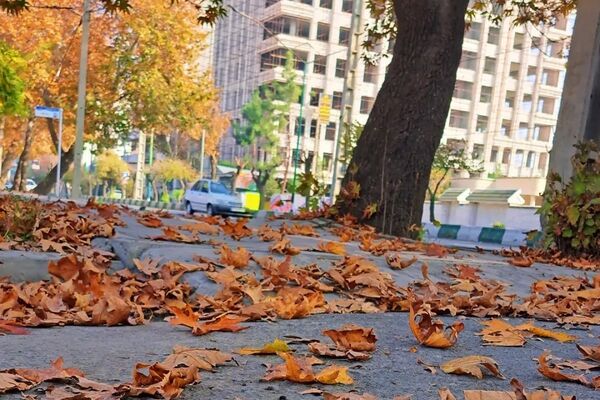 هرچه می‌گذرد، بیشتر به شبی سردتر و طولانی‌تر نزدیک می‌شویم