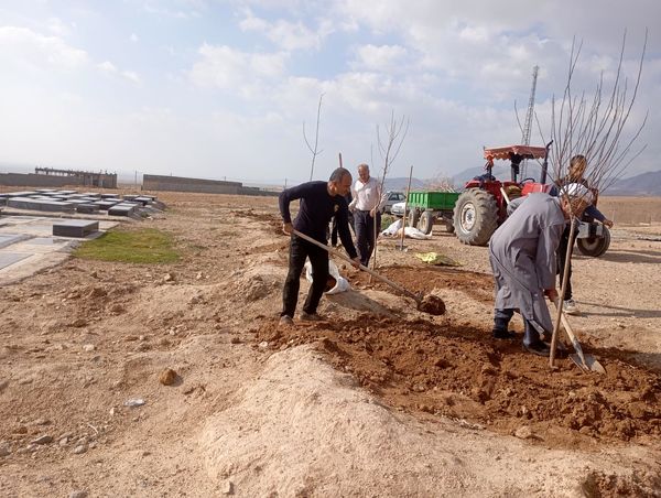 کاشت نهال در آرامستان روستای گزکوه