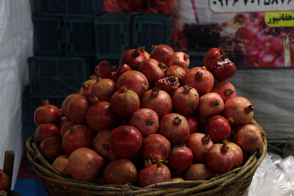 نمایشگاه شب یلدا در باغ دولت‌آباد یزد