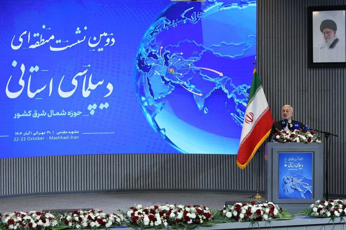 دیپلماسی استانی، ابزار هوشمند برای پیشبرد سیاست همسایگی است