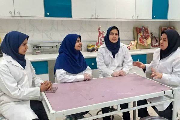 کار گروهی برای ارائه بهتر یک مطلب درسی لازم و  ضروری است