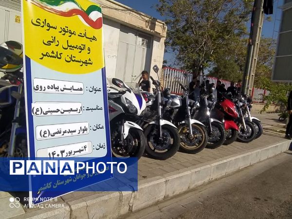 اربعین حسینی در شهرستان کاشمر 