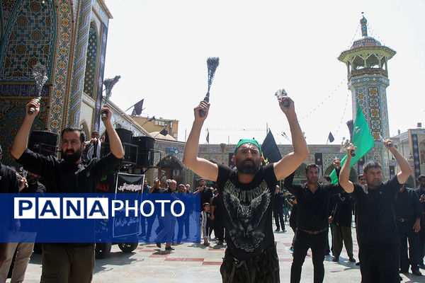 عزاداری تاسوعای حسینی(ع) در حرم حضرت معصومه(س)