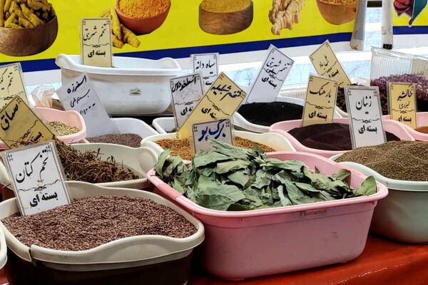 برپایی نمایشگاه بهاری در شهرستان لردگان 
