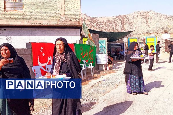 پذیرایی موکب‌ها از جاماندگان اربعین حسینی در شهرستان باشت