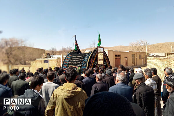 نخل‌برداری بنادکوک‌دیزه در سوگ امام علی (ع)