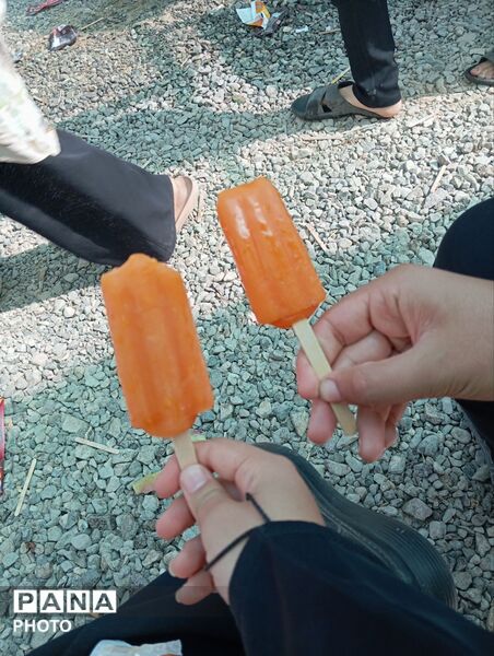 خدمت رسانی شبانه روزی موکب ها به زائران امام رضا (ع) 