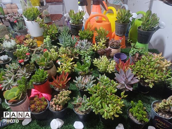 نمایشگاه گل و گیاه و سوغات در همدان