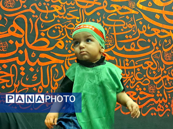 همایش شیرخوارگان حسینی(ع) در قم -3