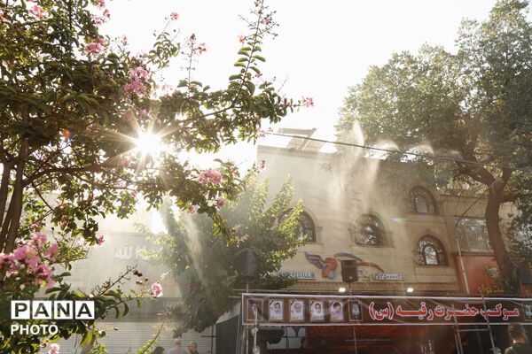 طنین «یا حسین» در مسیر دلدادگی؛ حضور پرشور جاماندگان اربعین در تهران
