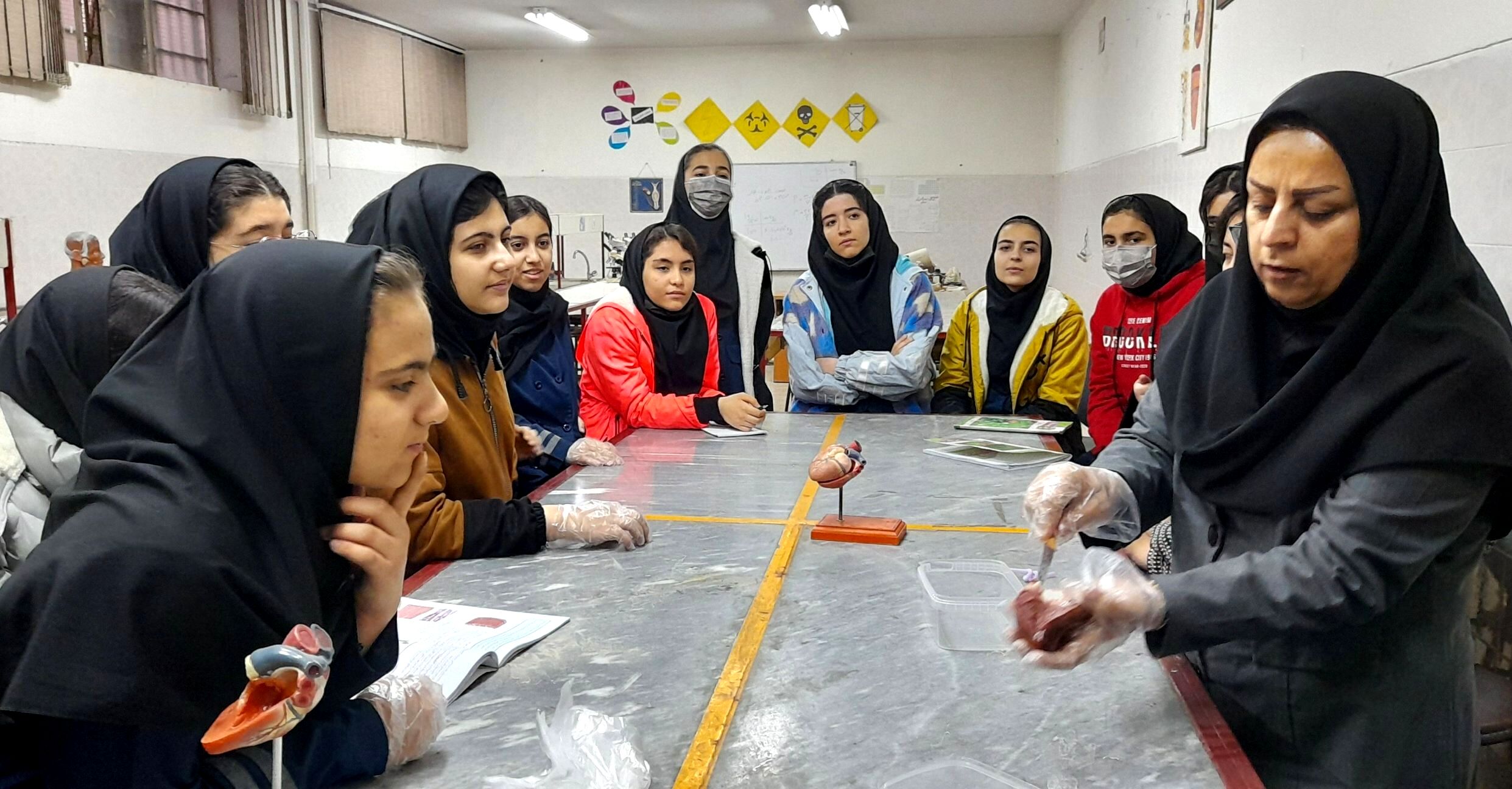 کارگاه تشریح قلب و آناتومی بدن انسان