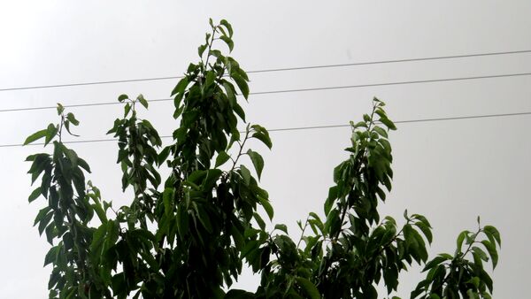 غافلگیری شهر بن از طرف آسمان
