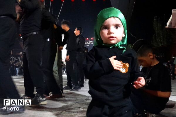 از کربلا تا ایران؛ عزاداران حسینی با پرچم ایران، پیام وحدت و استقامت را فریاد زدند