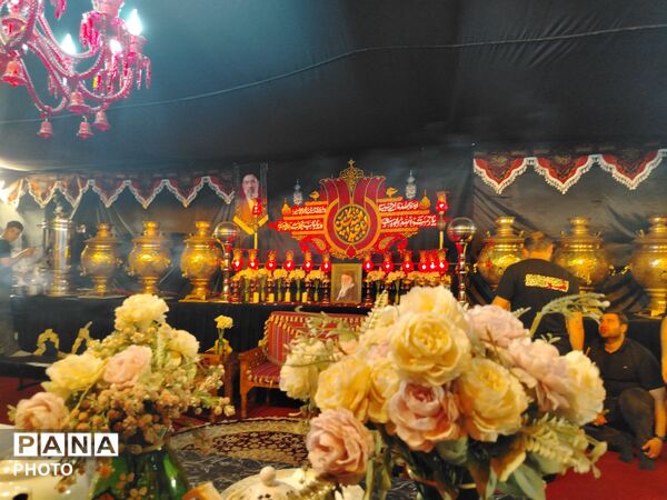سفینةالنجاة در قابِ شب