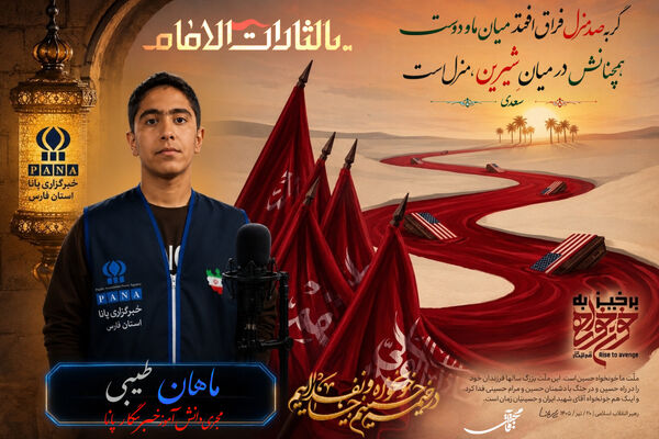 قلبم زودتر از قدم‌هایم به کربلا رسید