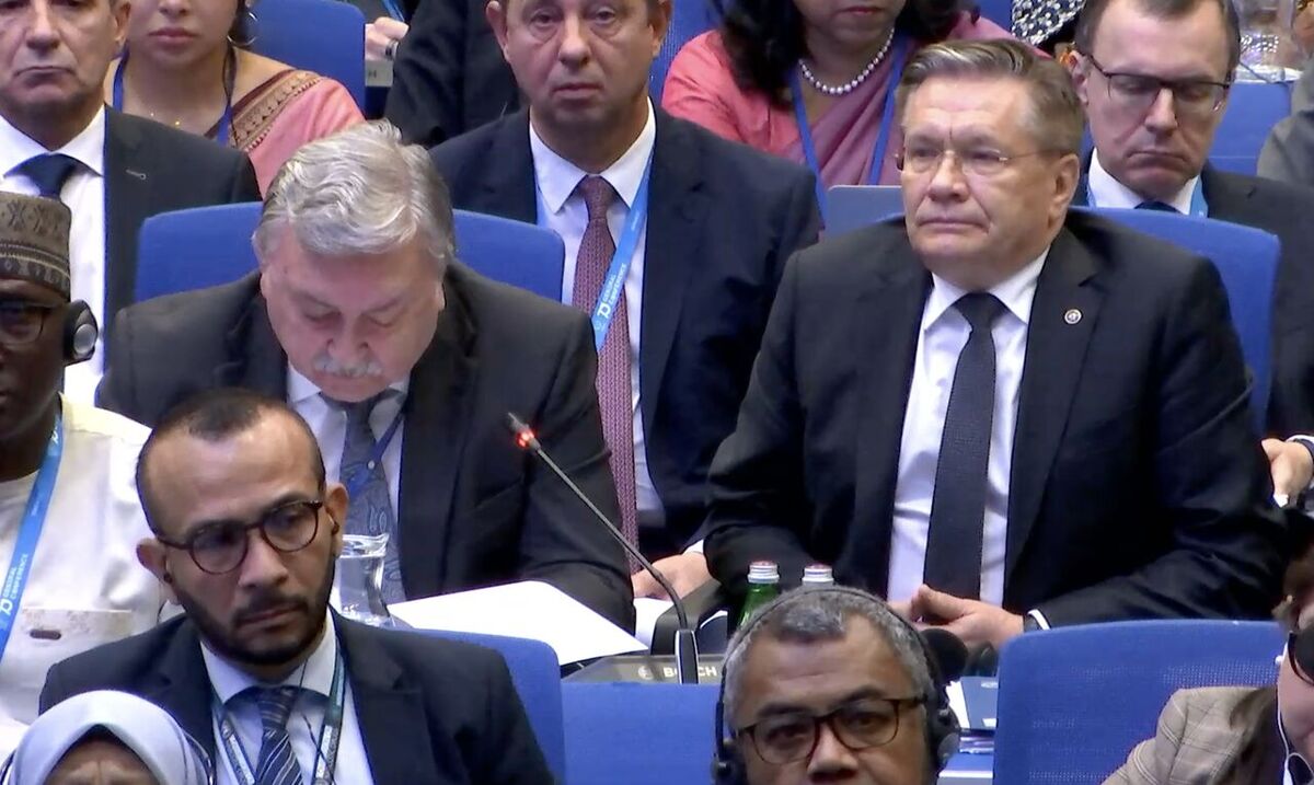 اولیانوف: اتریش با لغو روادید اسلامی، تعهدات بین‌المللی خود را نقض کرد/ این اقدامات مانع پیشرفت در مذاکرات است