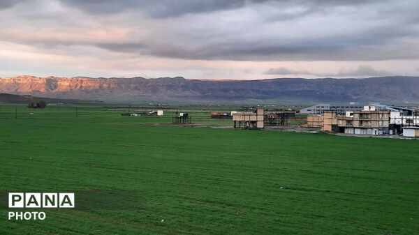 نگین سبز زاگرس 