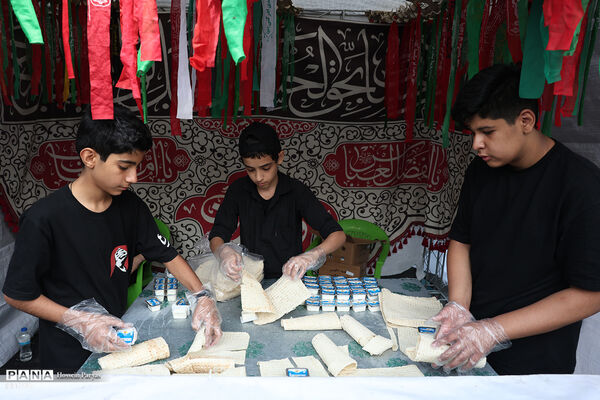 پیاده‌روی جاماندگان اربعین در تهران - 2