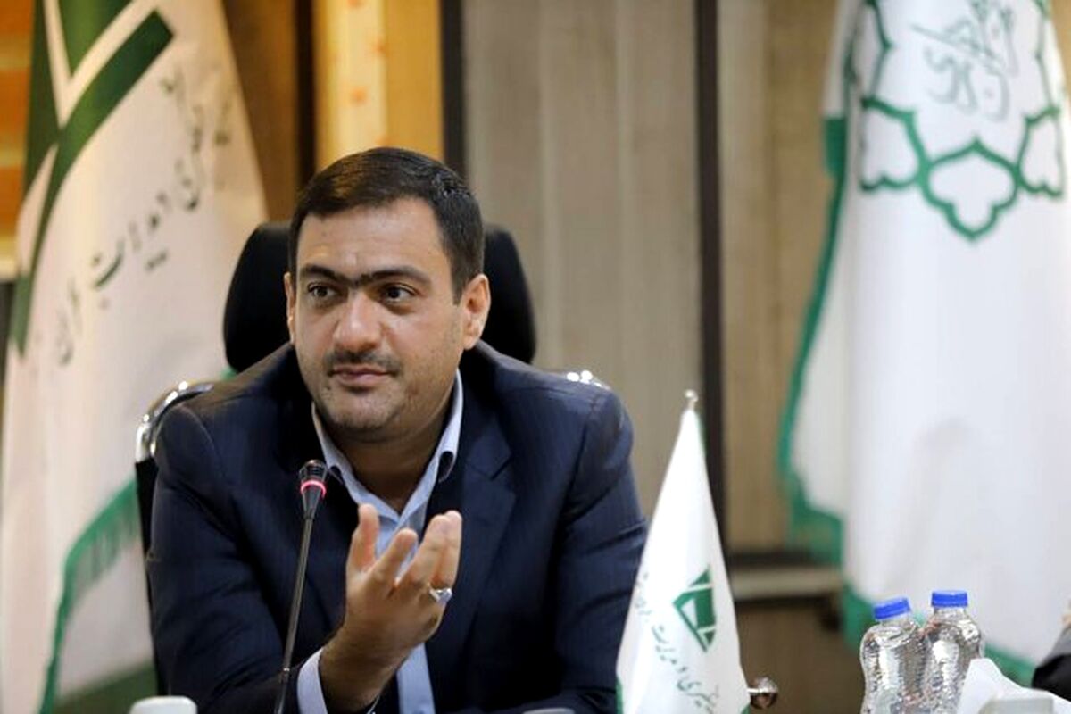 انتقاد شدید عضو شورای شهر از ترک فعل دستگاه‌ها در قانون هوای پاک