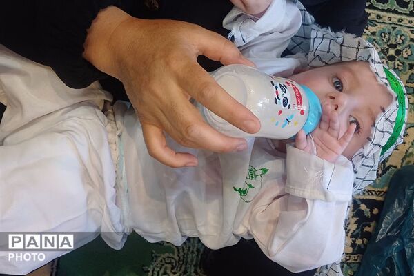 زمزمه‌معصومیت در دل تاریخ؛