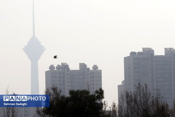 آلودگی هوای تهران