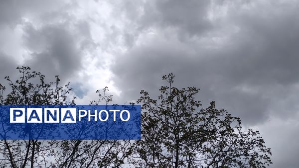 باران بهاری؛ ملودی زندگی در بستر طبیعت