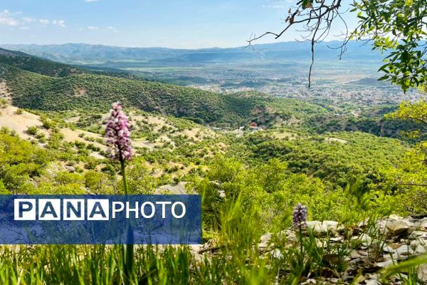 جلوه‌های بهاری طبیعت یاسوج