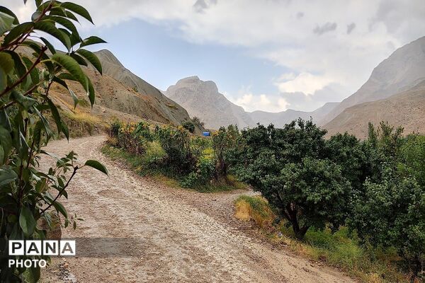 بارش غیر منتظره باران در تابستان ۱۴۰۵شهر بار نیشابور