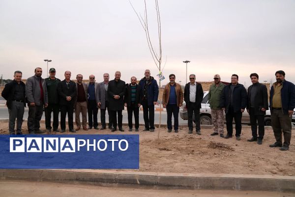 کاشت درخت به یاد شهدا در محمدشهر 