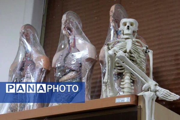 ویژه برنامه روز پژوهش سرا در پژوهش‌سرای بصیرت