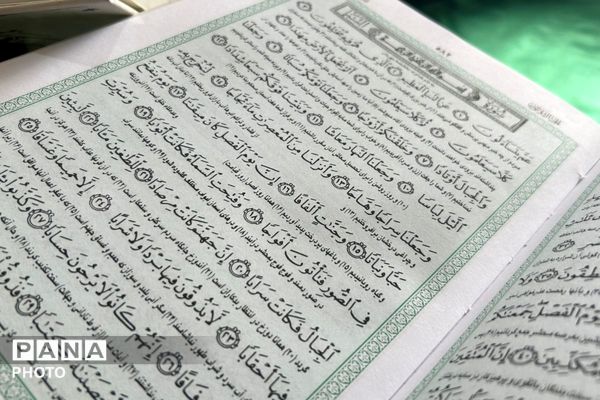 جوانه‌های ایمان در سایه‌سار قرآن