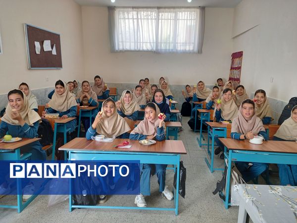 جشنواره غذای سالم در مدرسه سمیه کاشمر 