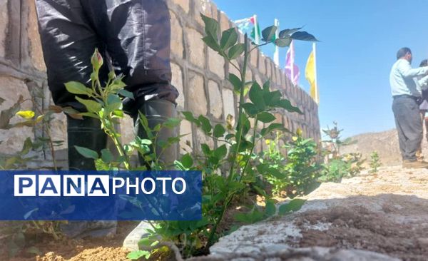 کاشت گل و گیاه در شهر منج، راهی برای احیای زمین