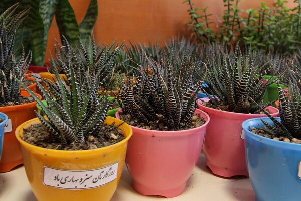برگزاری جلسه قطبی مدیران مدارس شهرستان‌های استان تهران در بهارستان‌2