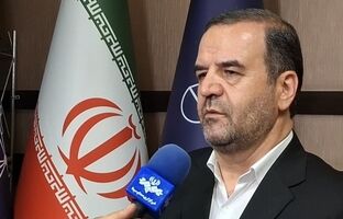 اصناف و سازمان حمایت ضابطین تعزیرات حکومتی در قیمت‌ کالاها در بازار هستند